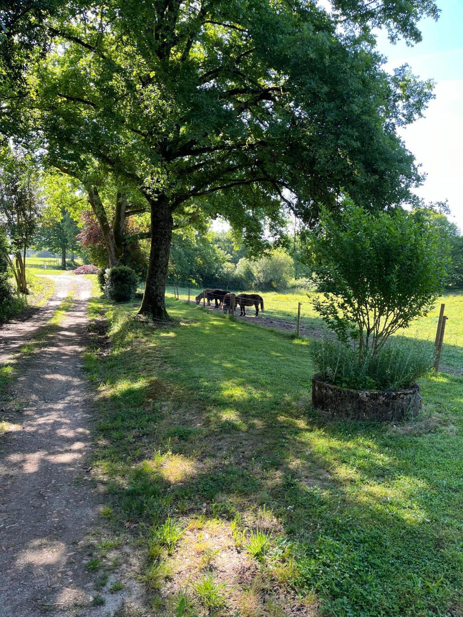 Holiday home Le Atlas Eauze